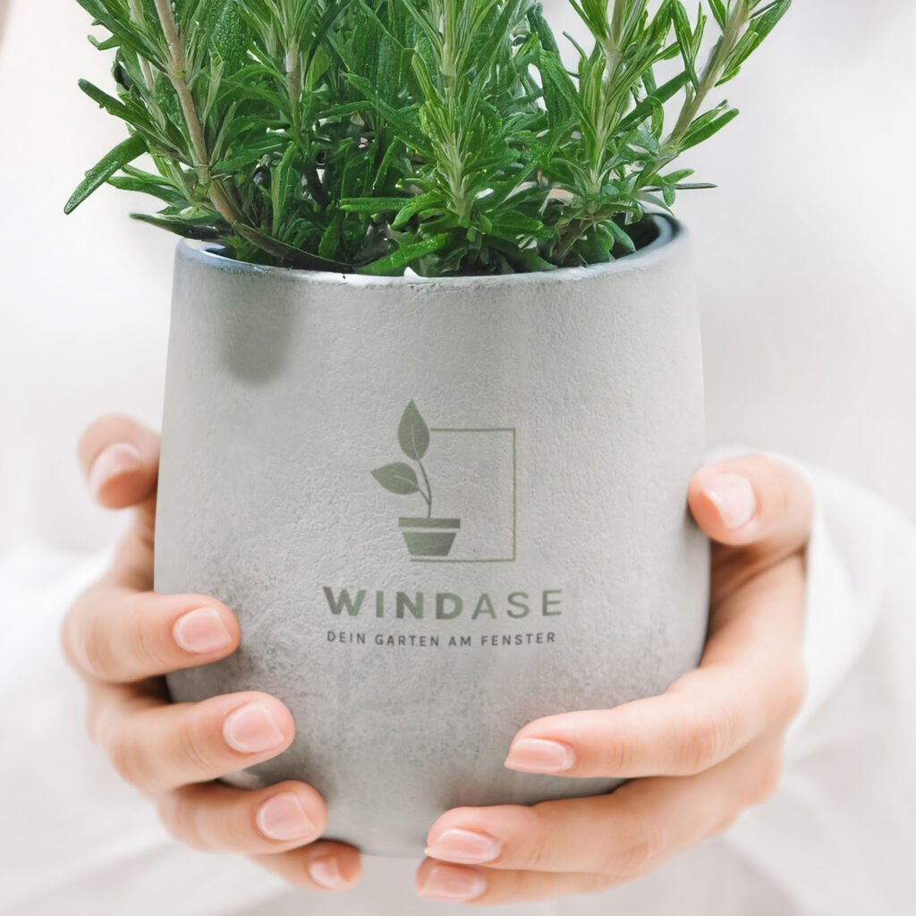 Zwei Hände halten einen grauen Betonblumentopf mit Rosmarin, darauf das WINDASE-Logo.