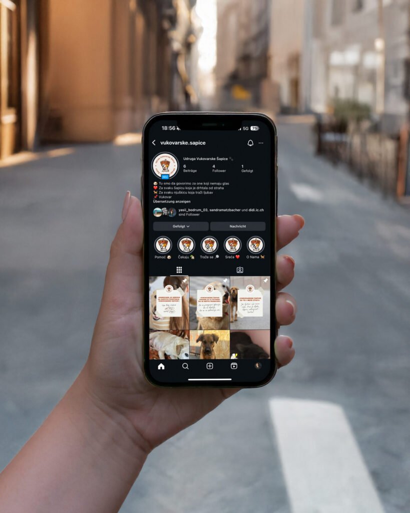 Frau hält Smartphone mit Instagram-Profil von Vukovarske Šapice.