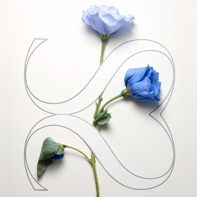 Zwei blaue Blüten auf weißem Hintergrund mit stilisiertem Blossom-Logo