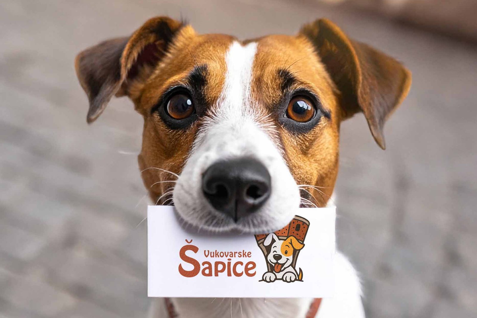 Das Logo kombiniert den Vukovar-Wasserturm mit einem Hundekopf – ein starkes Symbol für Hoffnung und Schutz. Als Grafikdesignerin in Graz habe ich das Logo so gestaltet, dass es sowohl auf Printmaterialien als auch digital sofort wirkt.