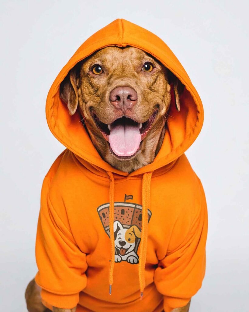 Hund trägt orangefarbenen Hoodie mit dem Logo von Vukovarske Šapice.
