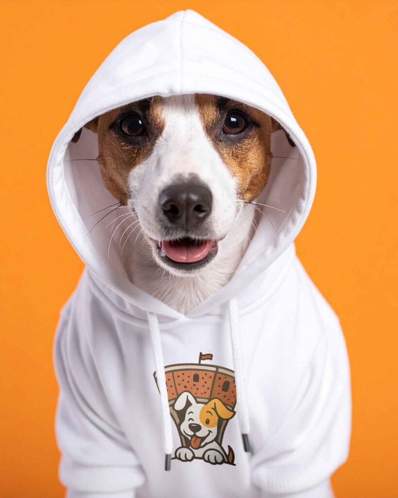 Hund trägt weißen Hoodie mit dem Logo des Tierschutzvereins Vukovarske Šapice.