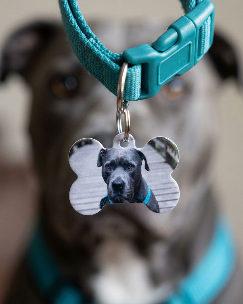 personalisierte Hundemarke by teyape.design - 1