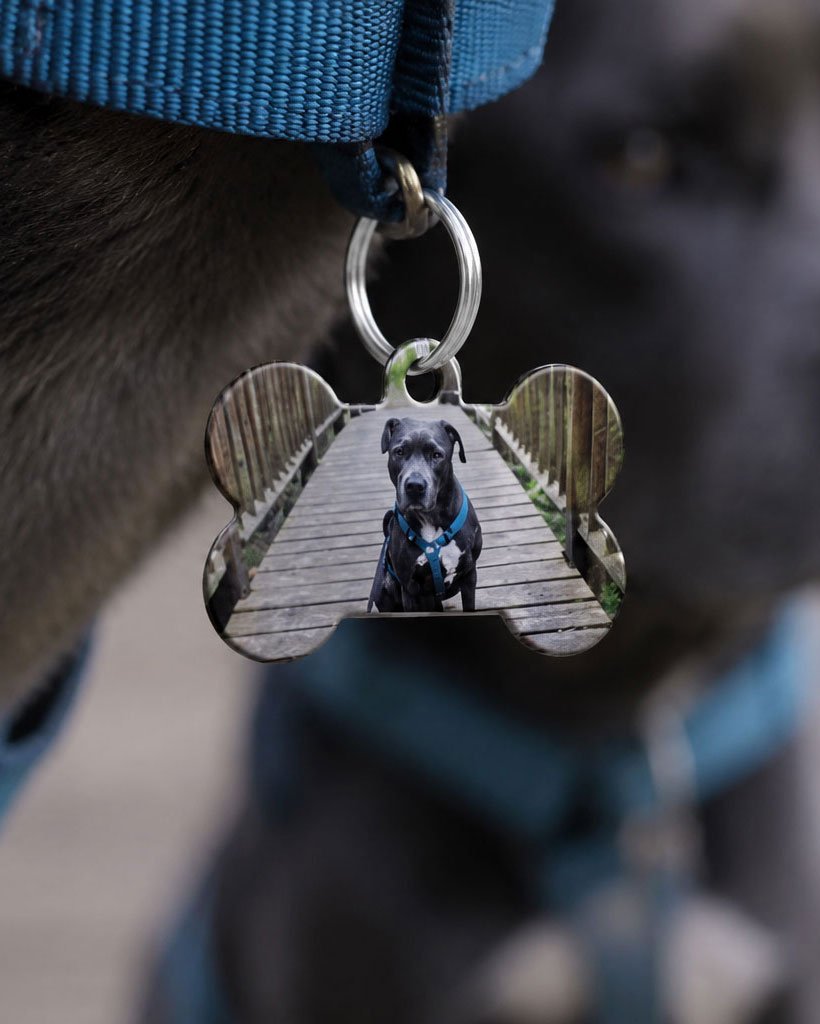 personalisierte Hundemarke by teyape.design - 3